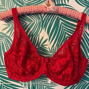 Victoria’s Secret 34DD body by V underlined underwire red lace Demi